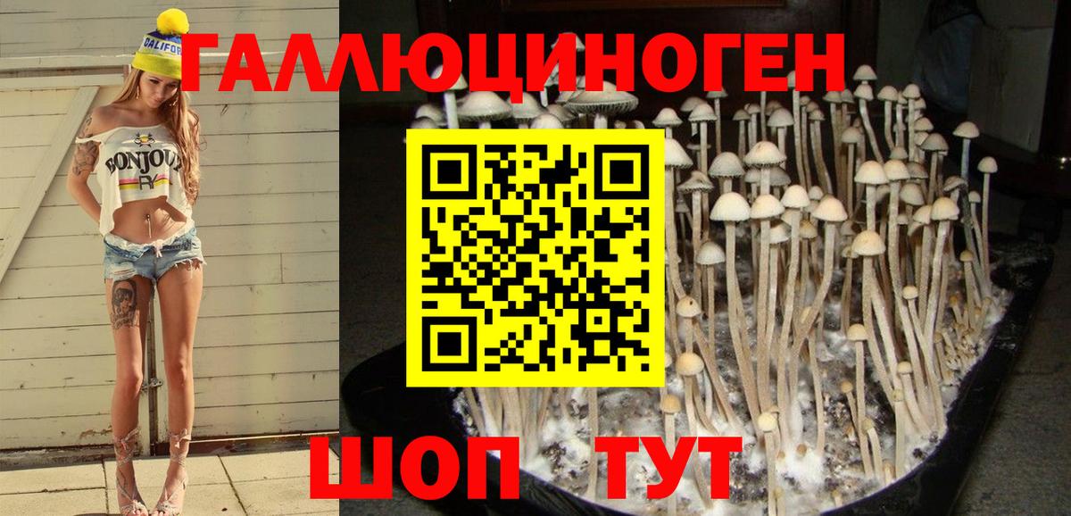Псилоцибиновые грибы Psilocybine cubensis  Псилоцибиновые грибы Psilocybine cubensis  Дзержинский  Вход с VPN 